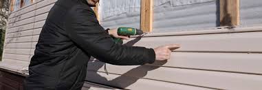 Best Storm Damage Siding Repair  in Carbon Cliff, IL